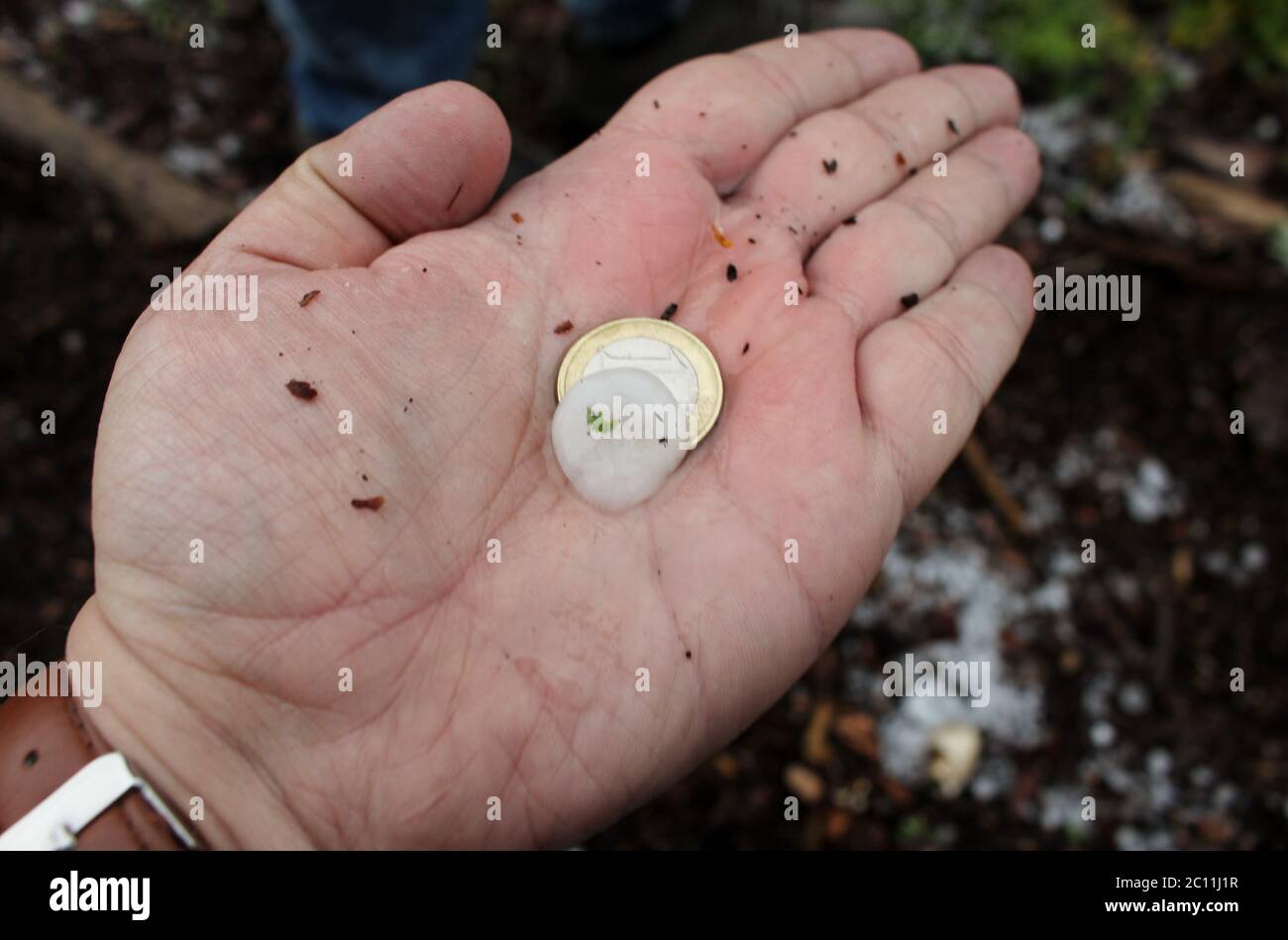 Kremmen Germany 13th June A Hailstone Almost The Size Of A One Euro Coin Lies On The Hand Of A Man After A Storm Credit Christian Porschmann Dpa Zentralbild Dpa Alamy Live News Stock Photo