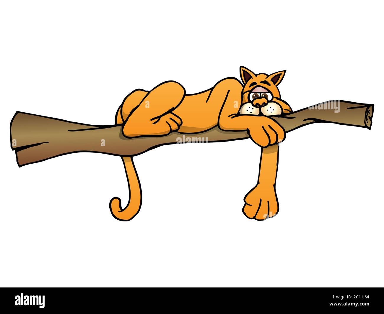 Cute Safari sleepy puma sleeping on branch Stock Photo - Alamy