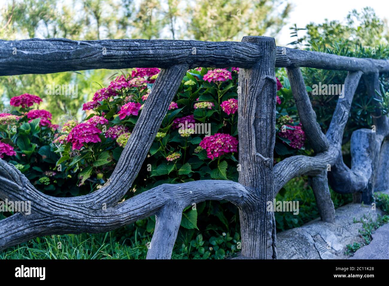 Beautiful with purple wood fence flowers for decoration design. Summer green garden flowers view. Surface design. Home garden. Stock Photo