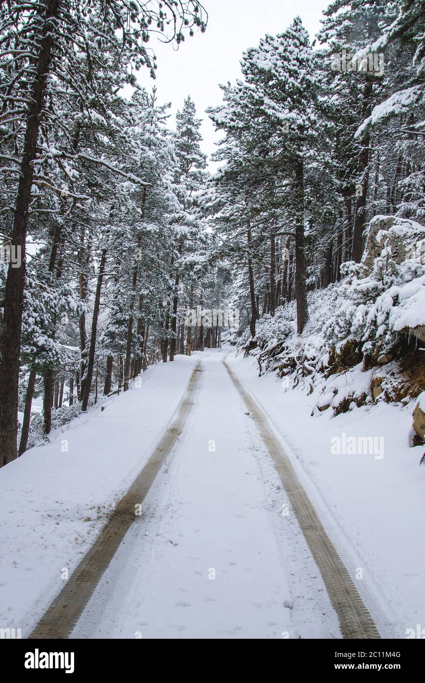 Mountain road in winter with snow Stock Photo