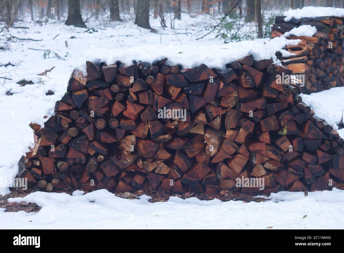 Pile of wooden logs in a snowy forest Stock Photo
