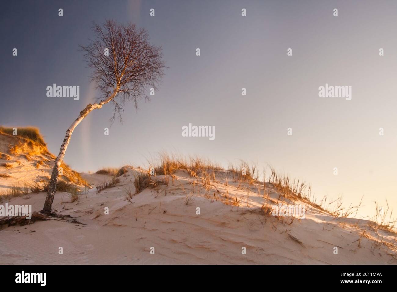 Beautiful desert landscape. dunes at sunrise. Slowinski National Park in Poland Stock Photo