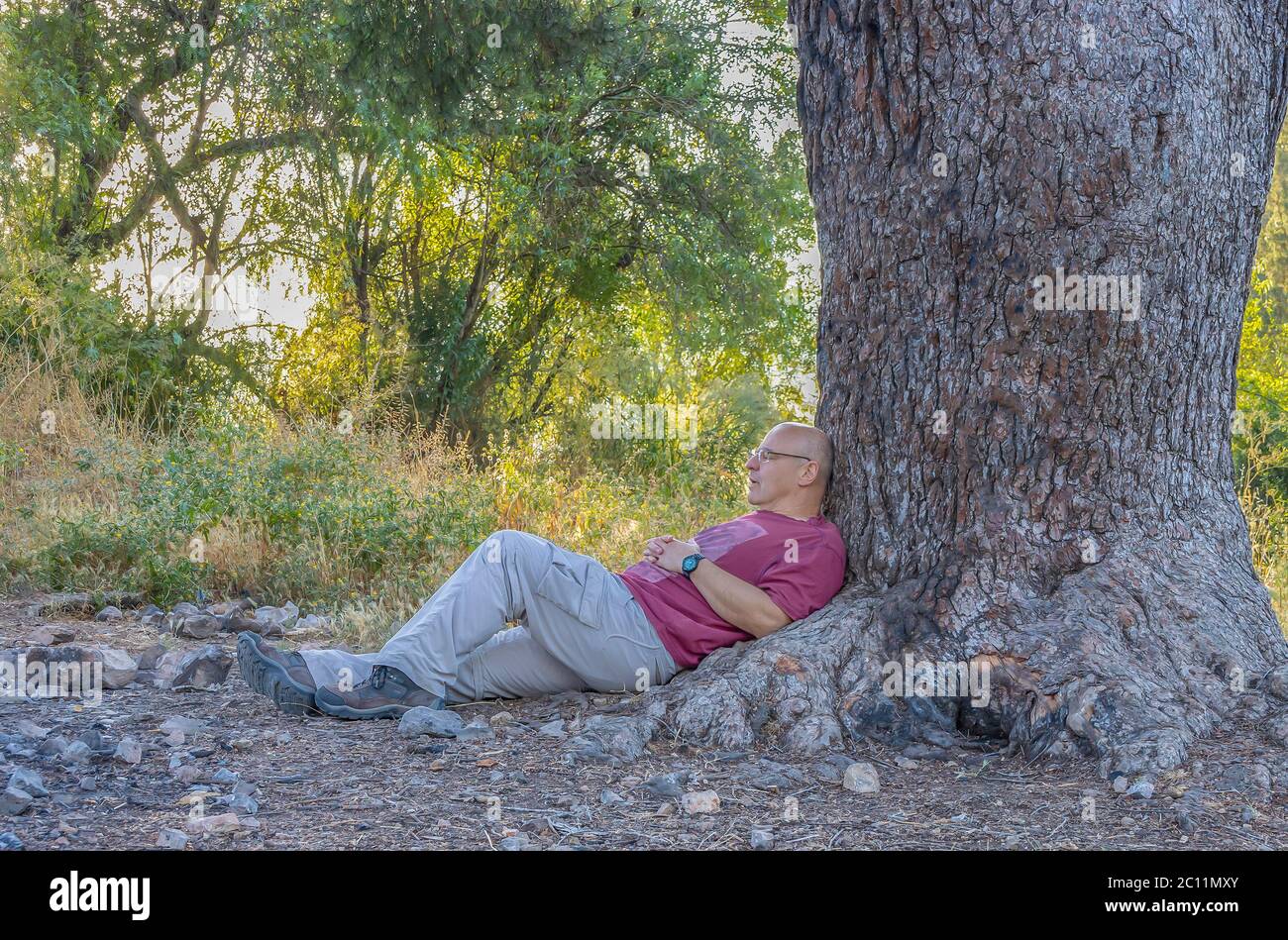 A middle aged man resting outdoors in the shade of an old Jerusalem pine tree Stock Photo