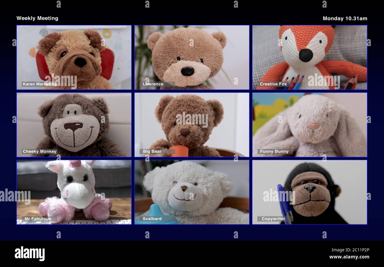 teddy bear video conference Stock Photo