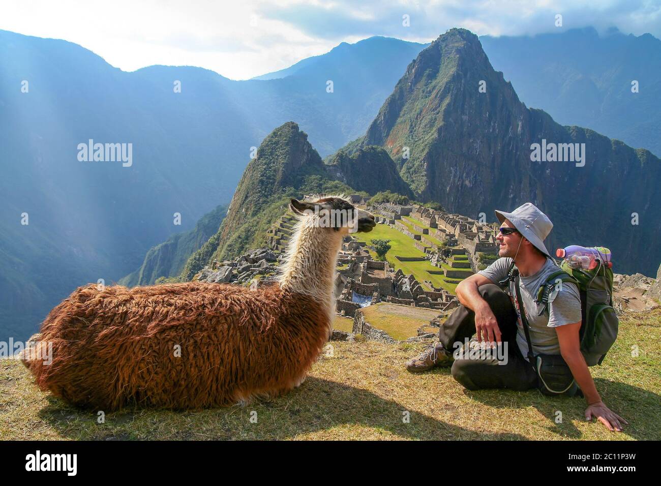 Tourist and llama in Machu Picchu Stock Photo