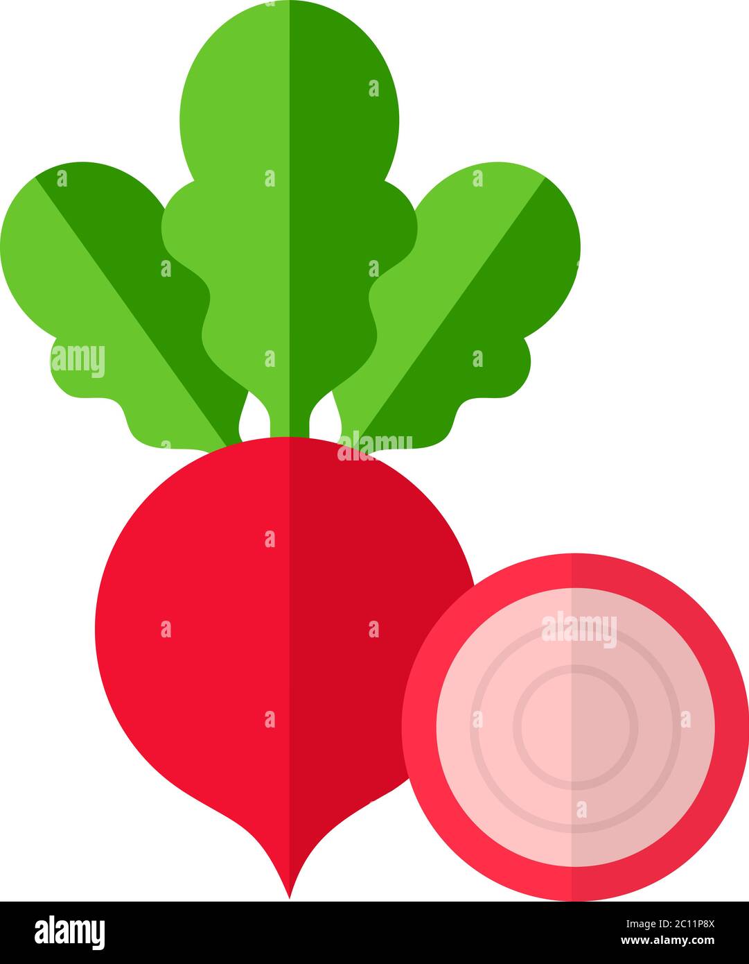 Whole beet with slice of beet vector icon flat isolated Stock Vector