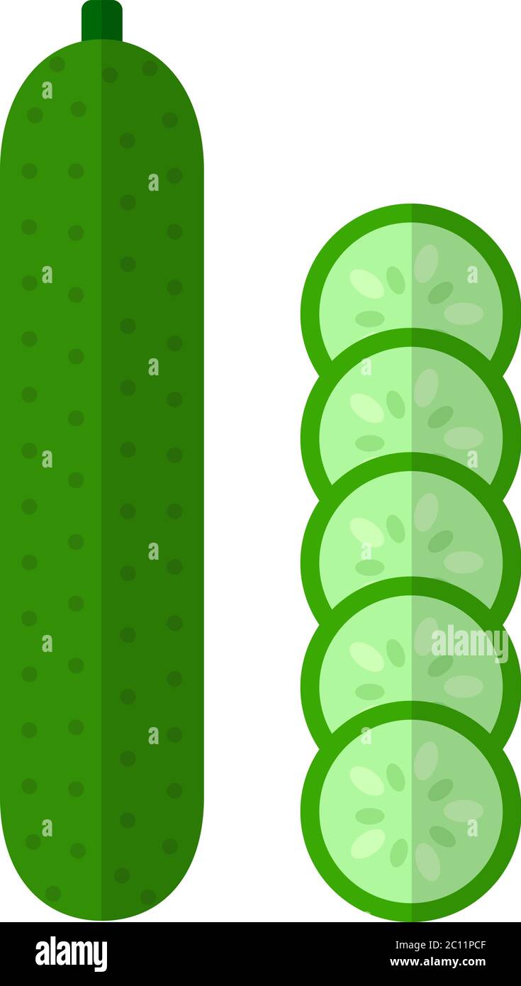 Whole cucumber with round slices vector icon flat isolated Stock Vector