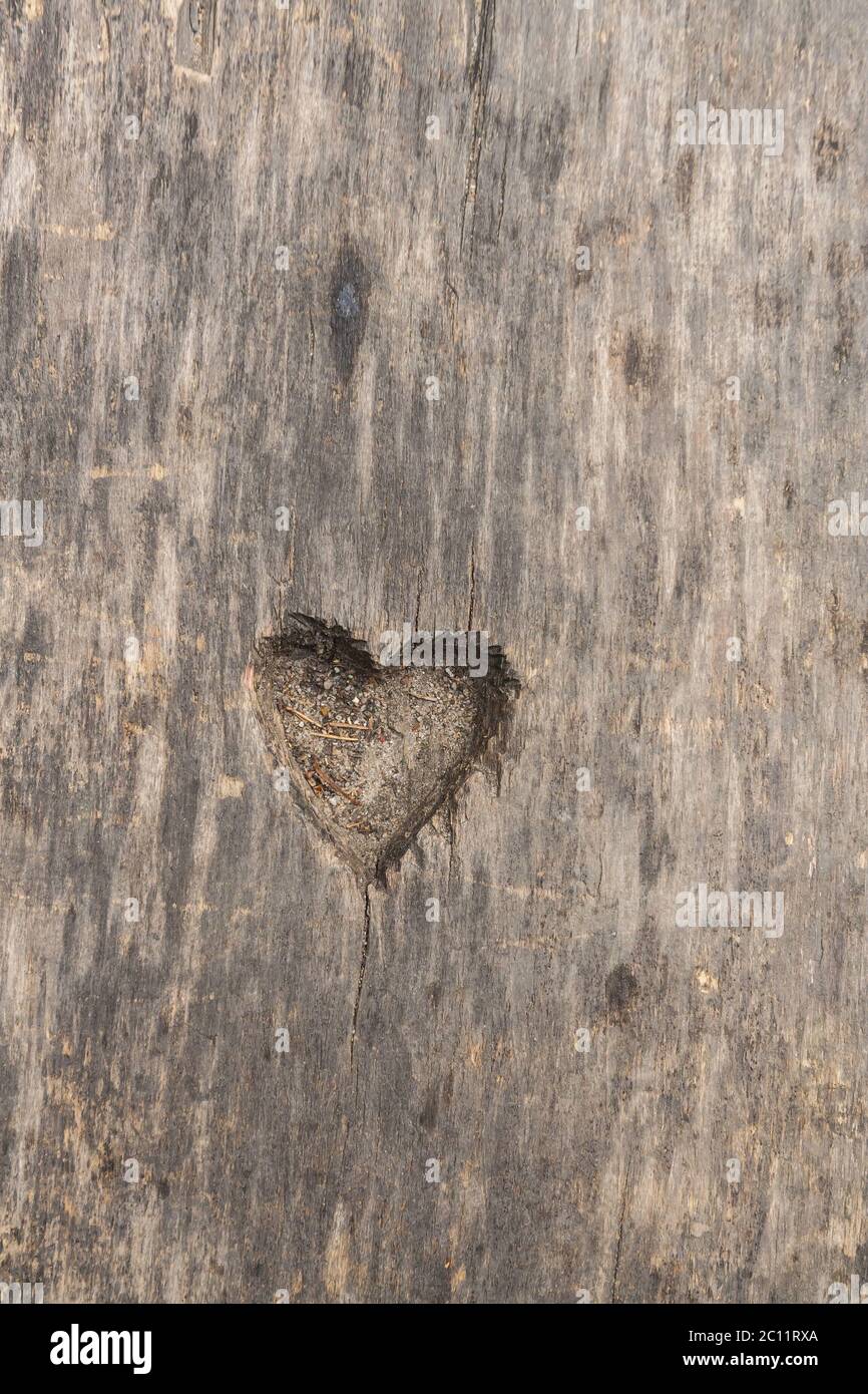 Small heart shape cut in old wood. Picture useful as background Stock Photo