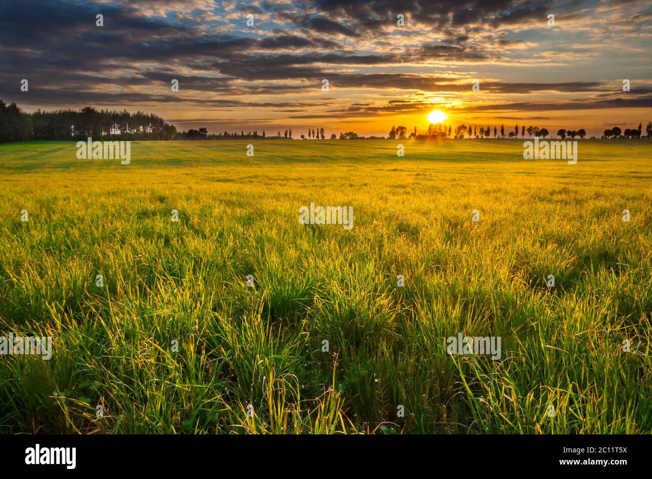 Beautiful early summertime landscape hi-res stock photography and ...