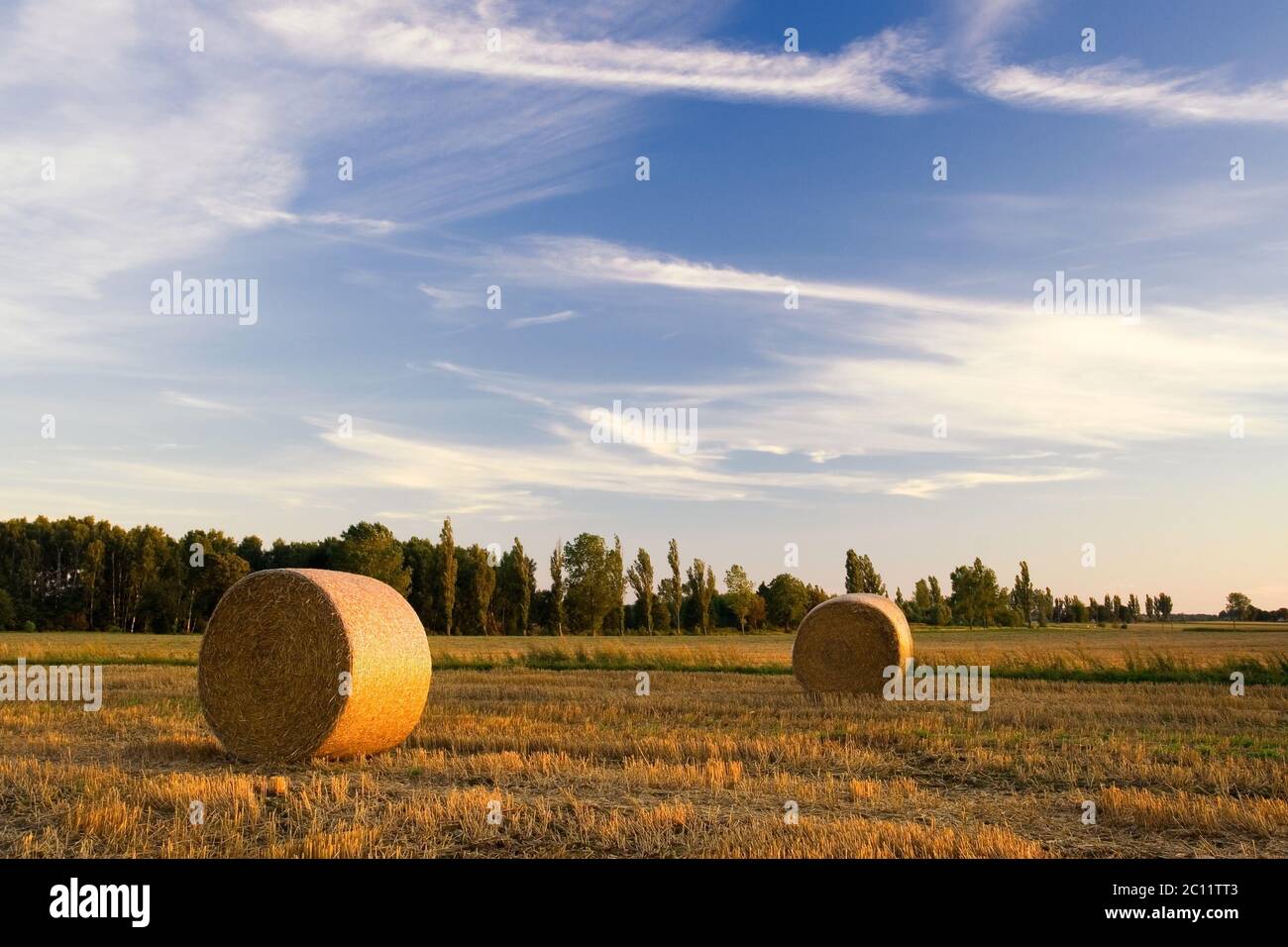 Stubble field in sunset light with straw bales Stock Photo - Alamy