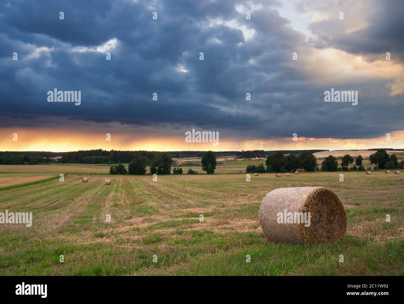 Stubble field in sunset light with straw bales Stock Photo - Alamy