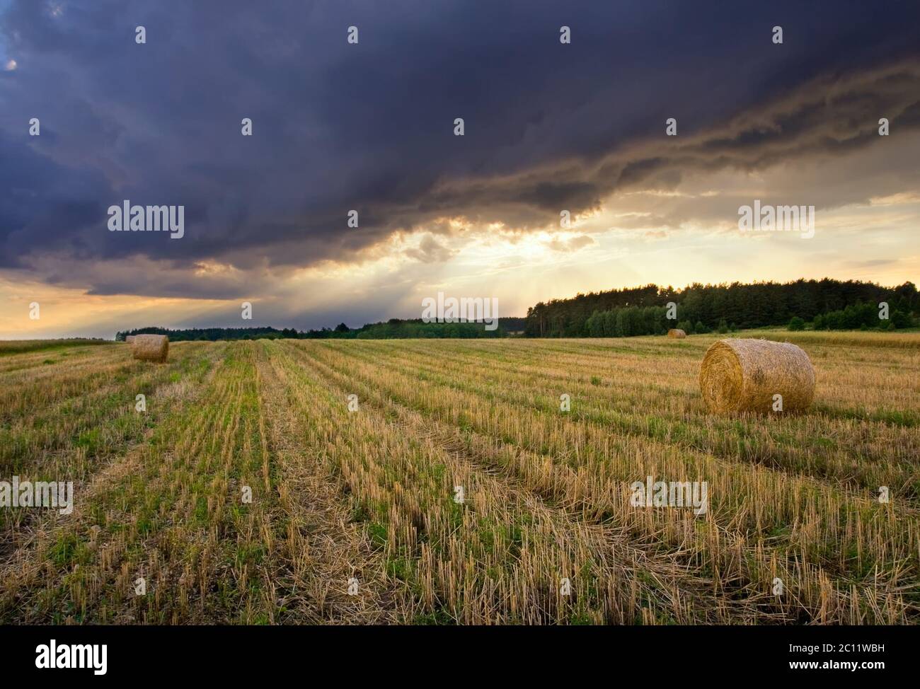 Stubble field in sunset light with straw bales Stock Photo - Alamy