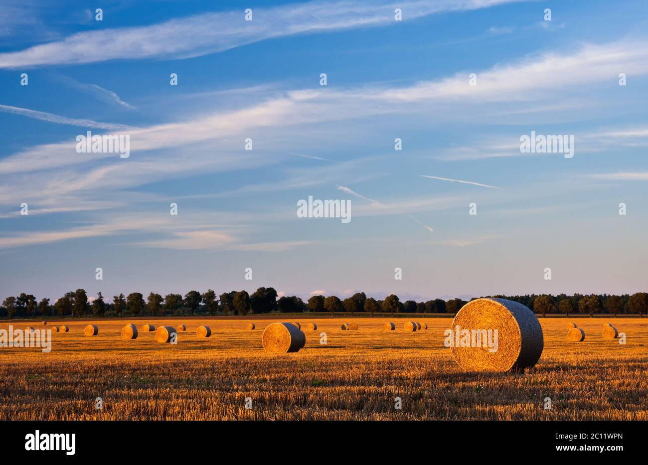 Stubble field in sunset light with straw bales Stock Photo - Alamy