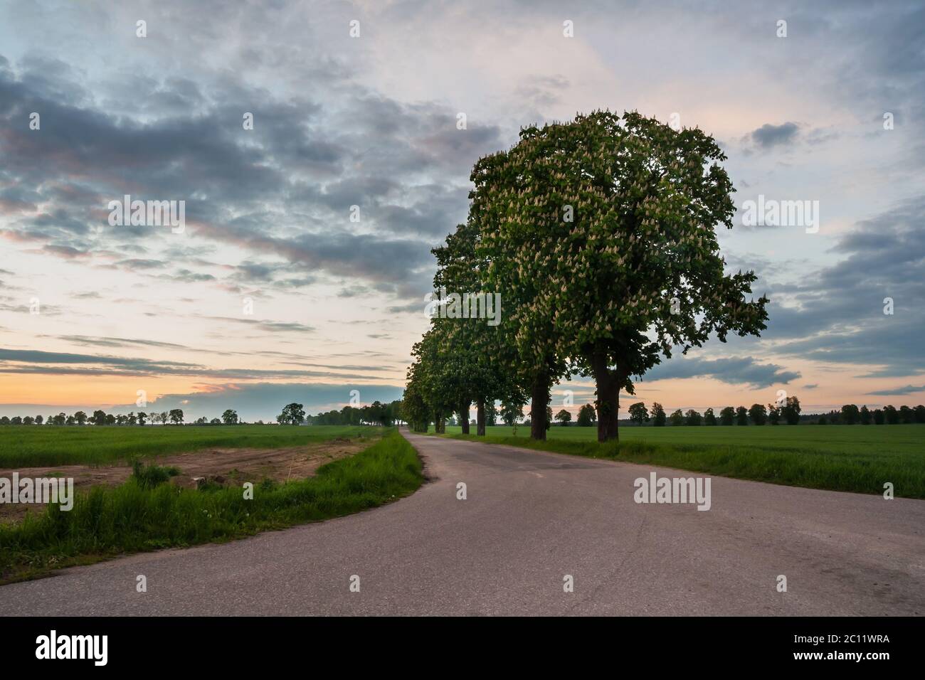 Beautiful rural landscape with asphalt road near fields Stock Photo - Alamy