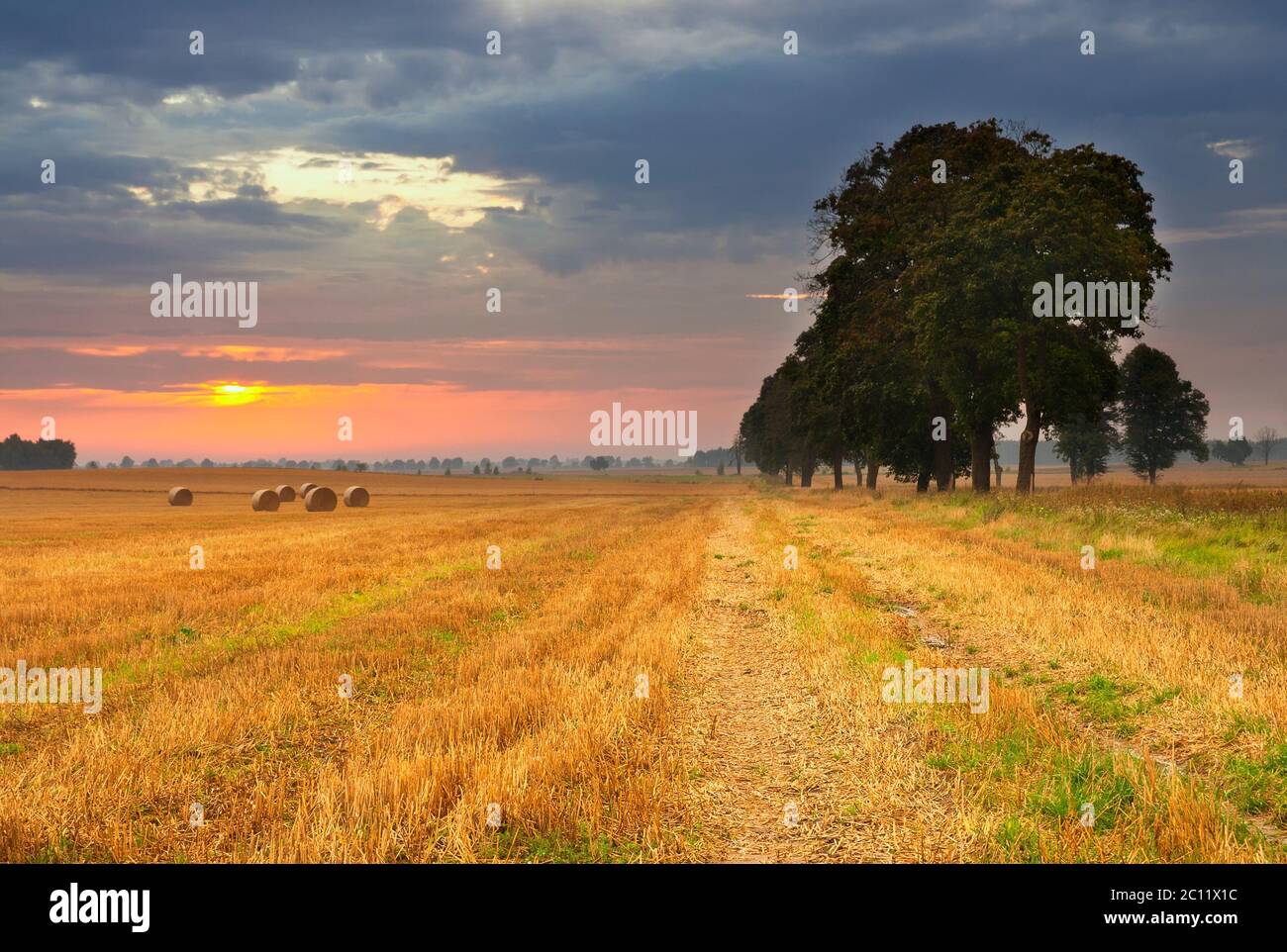 Stubble field in sunset light with straw bales Stock Photo - Alamy