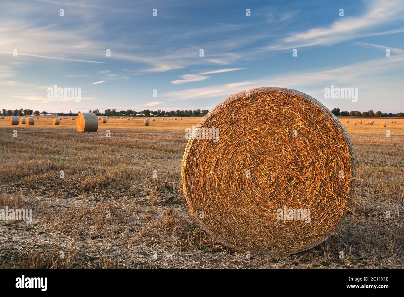 Stubble field in sunset light with straw bales Stock Photo - Alamy