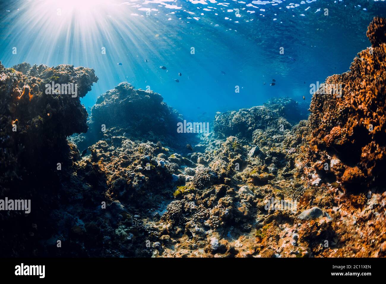Underwater Rocks High Resolution Stock Photography and Images Alamy