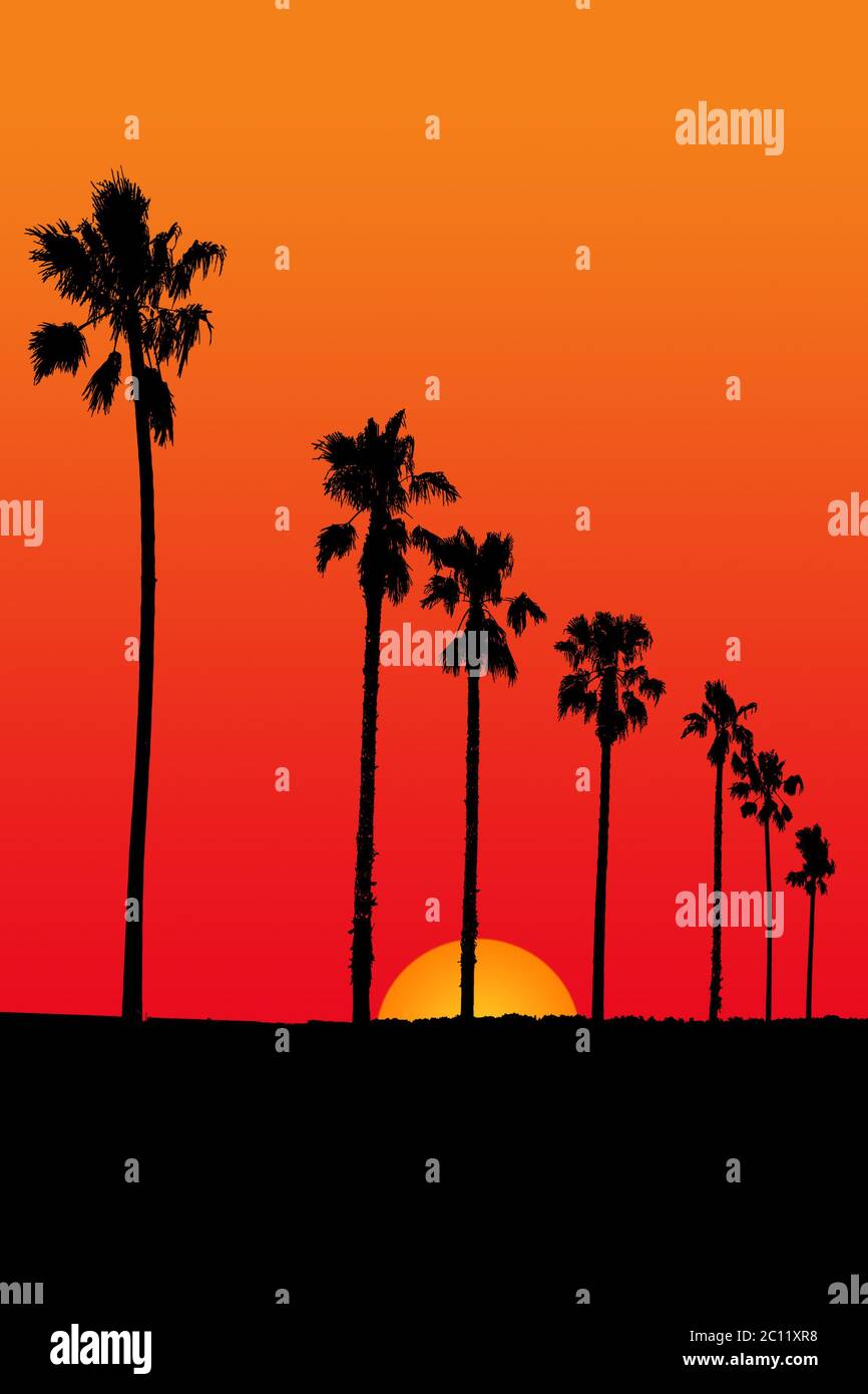 Sunset Scene Illustration Stock Photo - Alamy