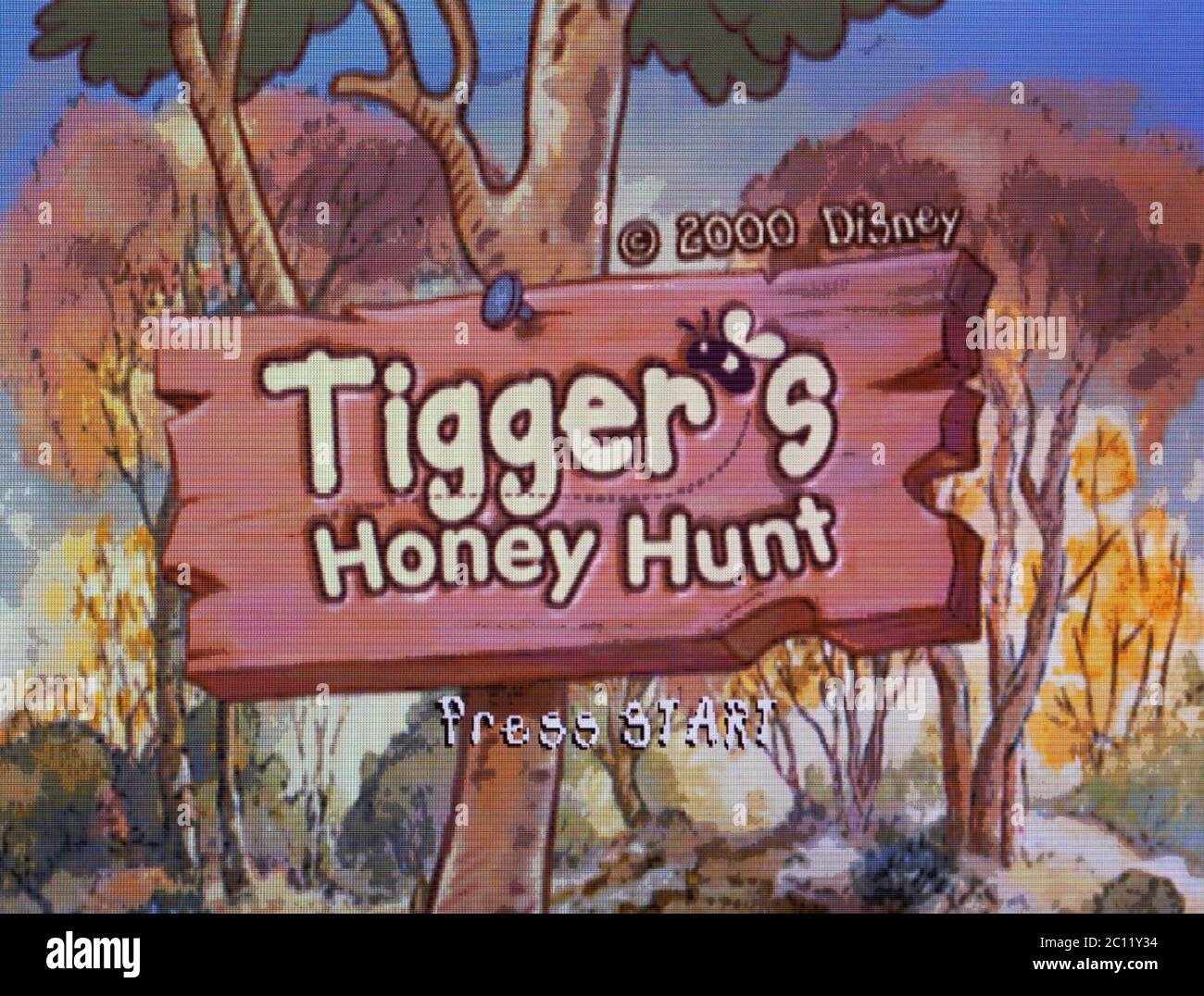 tigger's honey hunt nintendo 64