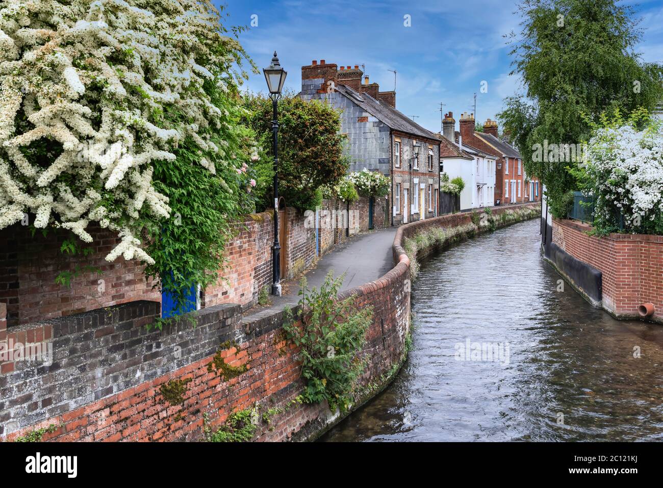 A canal with homes in the city of Salisbury, Wiltshire, England, Great Britain, Europe. Stock Photo