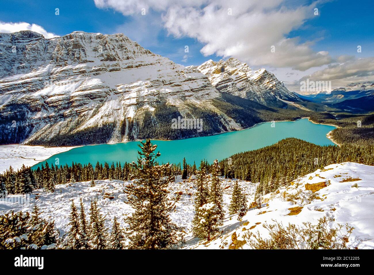 The emerald color of Peyto Lake in winter in Banff National Park ...
