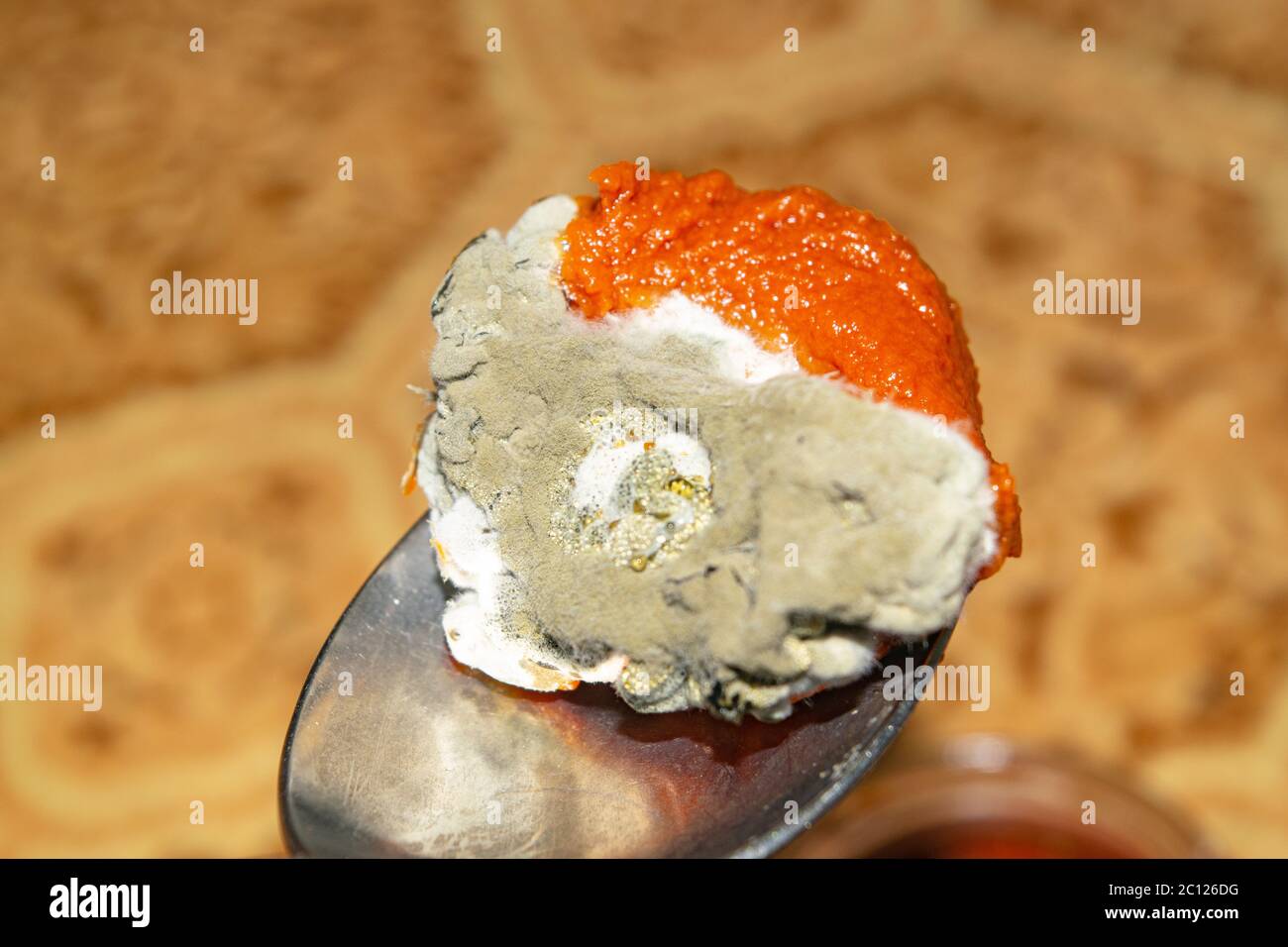 Mold growing on the tomato paste. Close up Stock Photo