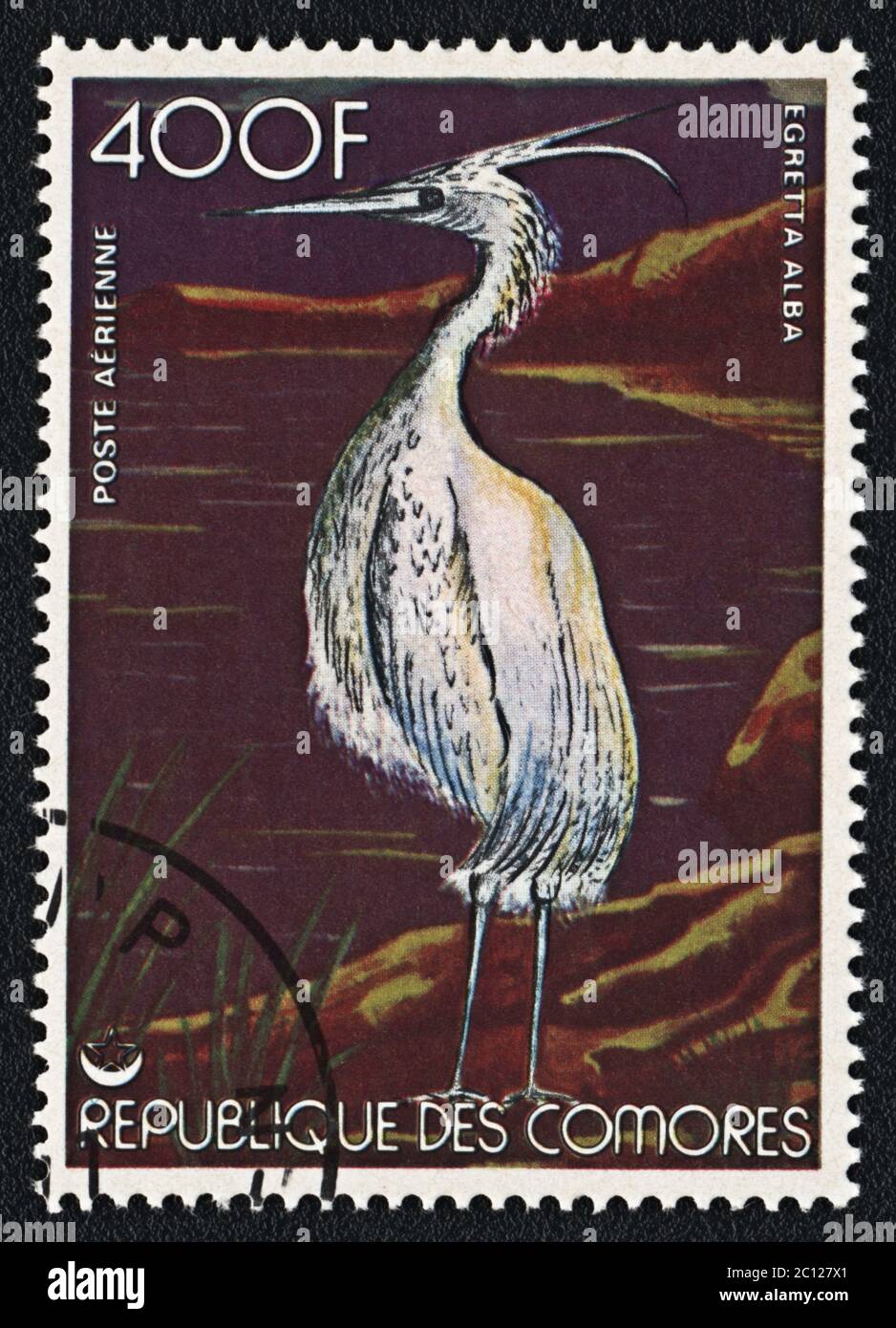 Great egret. Postage stamp, Comoros Stock Photo