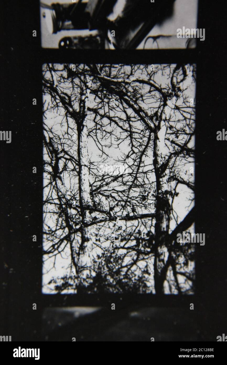 Fine 1970s vintage black and white photography of the beauty of nature ...