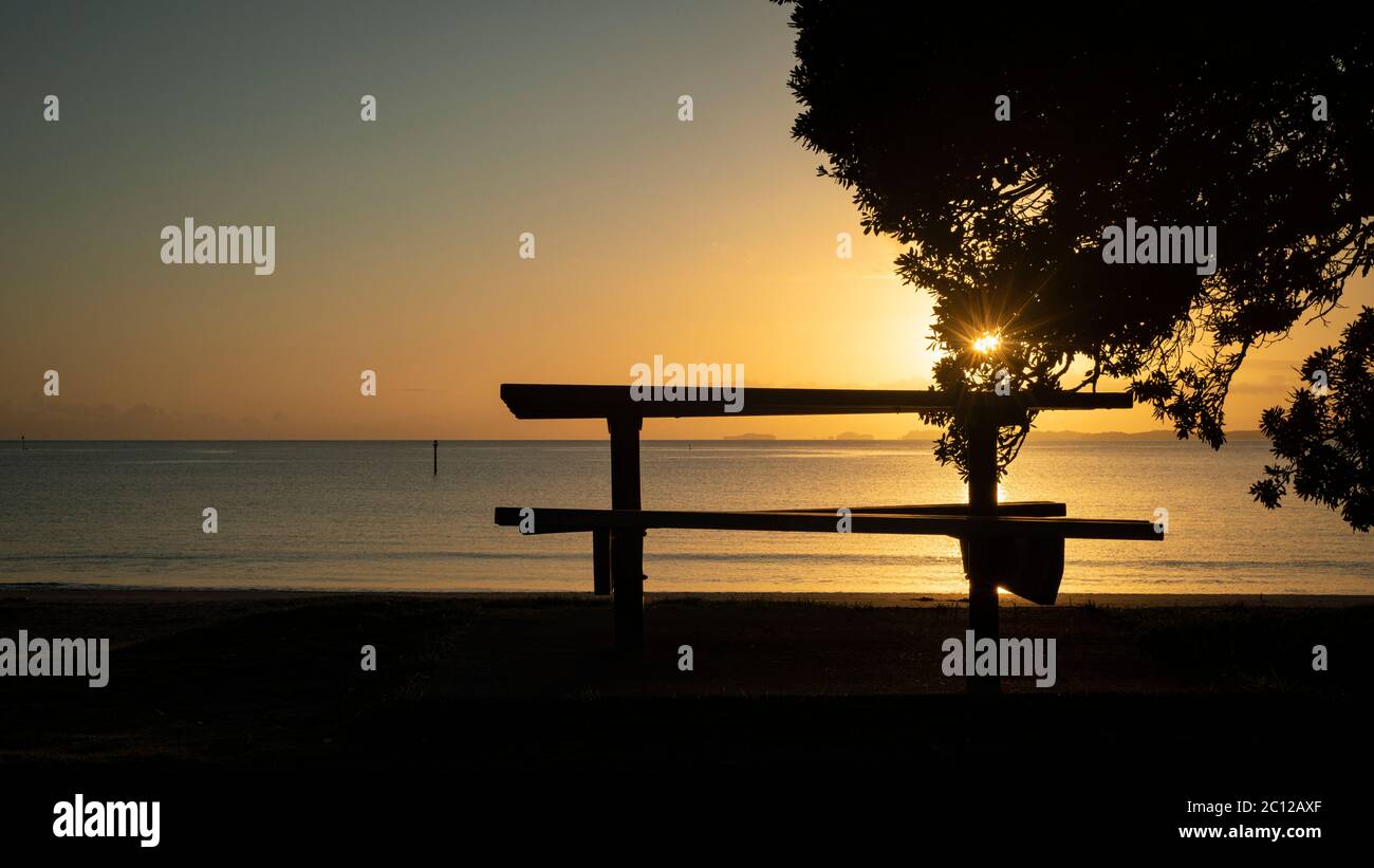 Silhouette empty bench by the beach and morning sun shining through the Pohutukawa tree Stock Photo