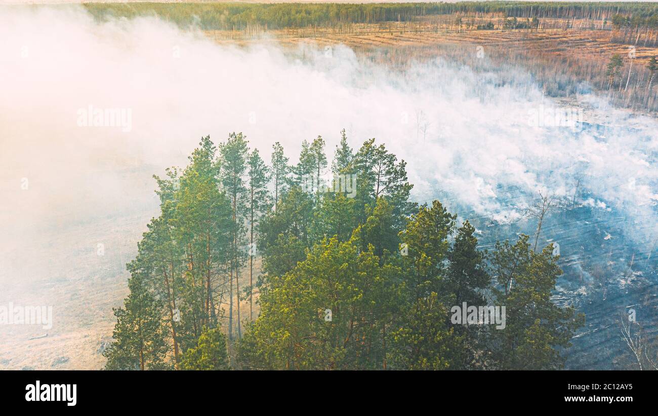 Drought Fire Aerial View. Spring Dry Grass Burns During Drought Hot Weather. Bush ...