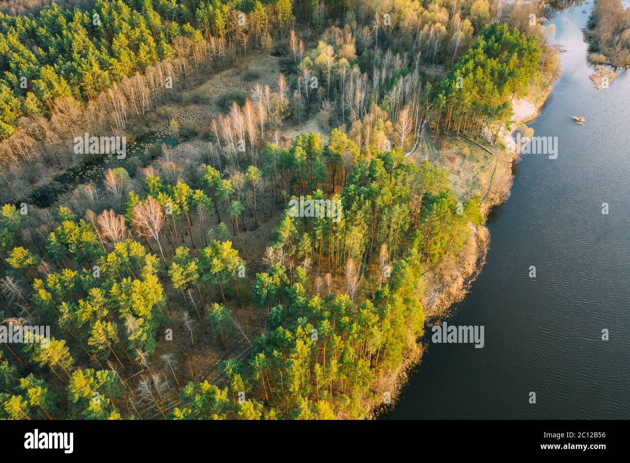 Aerial View Of Mixed Forest And River Landscape. Top View Of Beautiful European Nature From High Attitude In Early Spring Season. Drone View. Bird's Stock Photo