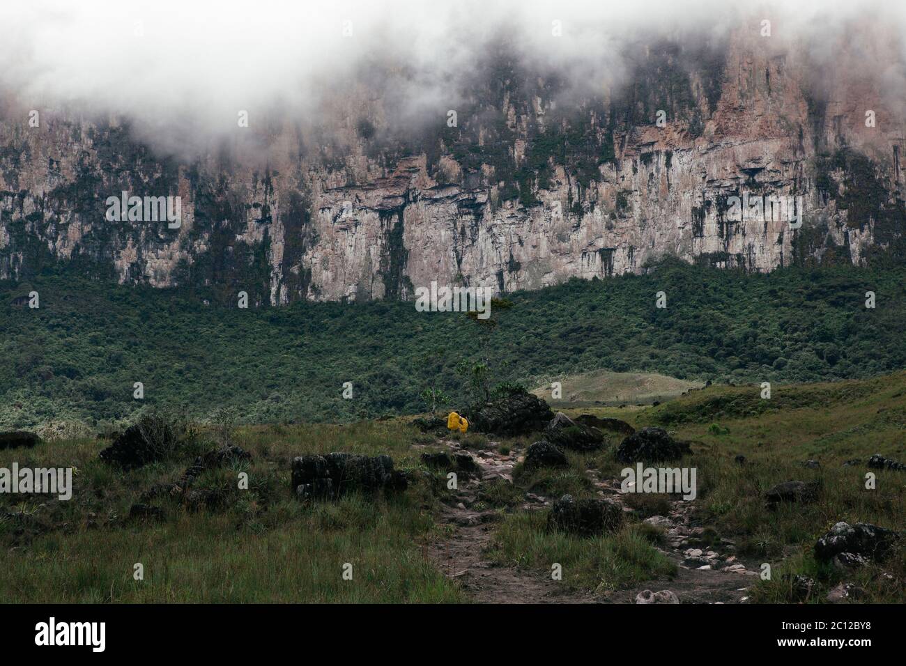 Mount Roraima, Venezuela Stock Photo - Alamy