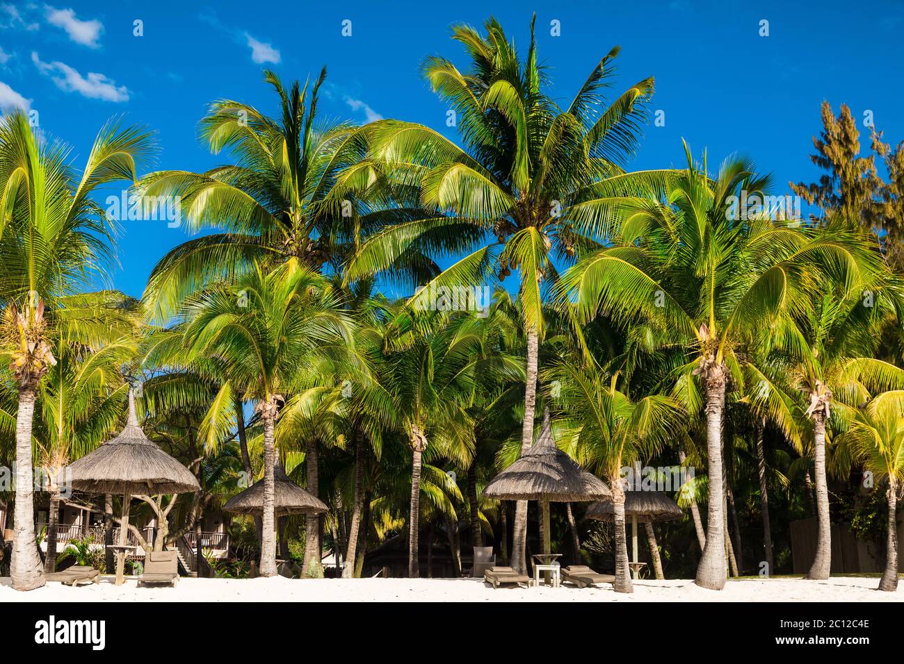 Blue palms resort hi-res stock photography and images - Alamy