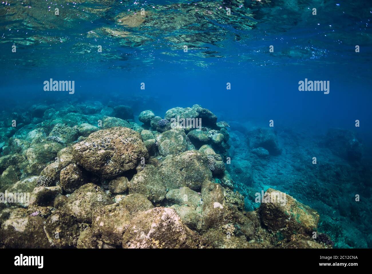 Undersea Rocks Transparent Underwater scene with stones bottom. Tropical transparent ocean Stock ...