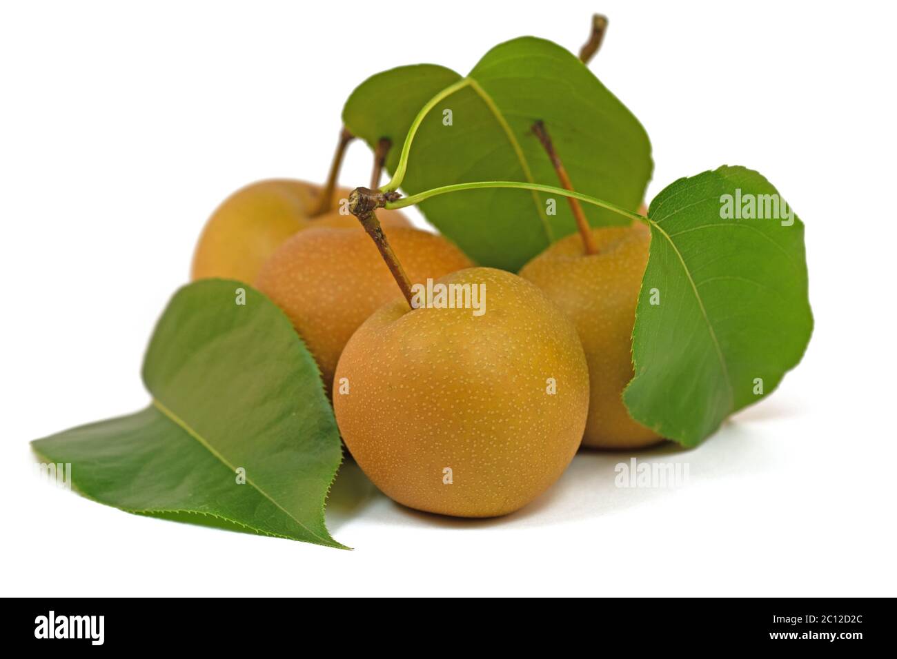Nashi pears, Pyrus pyrifolia, isolated against white background Stock Photo