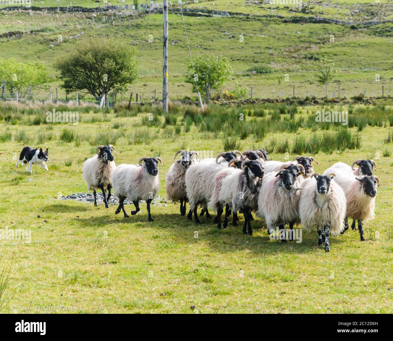 Black woman in white male field hi-res stock photography and images - Alamy