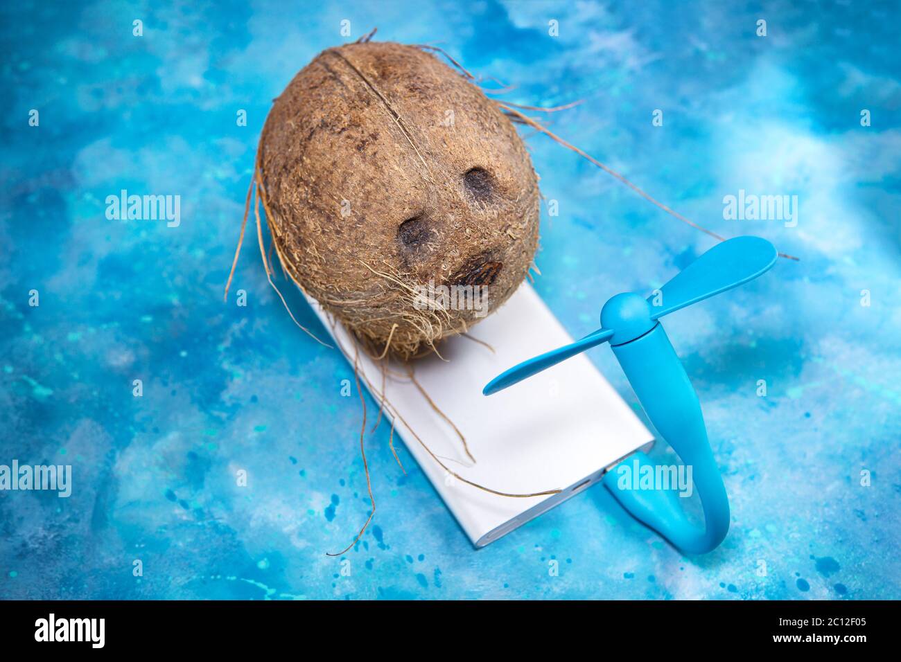 Coconut is cooling off in front of a portable fan powered by a mobile power bank on a blue background. Tropical summer heat wave concept. Stock Photo