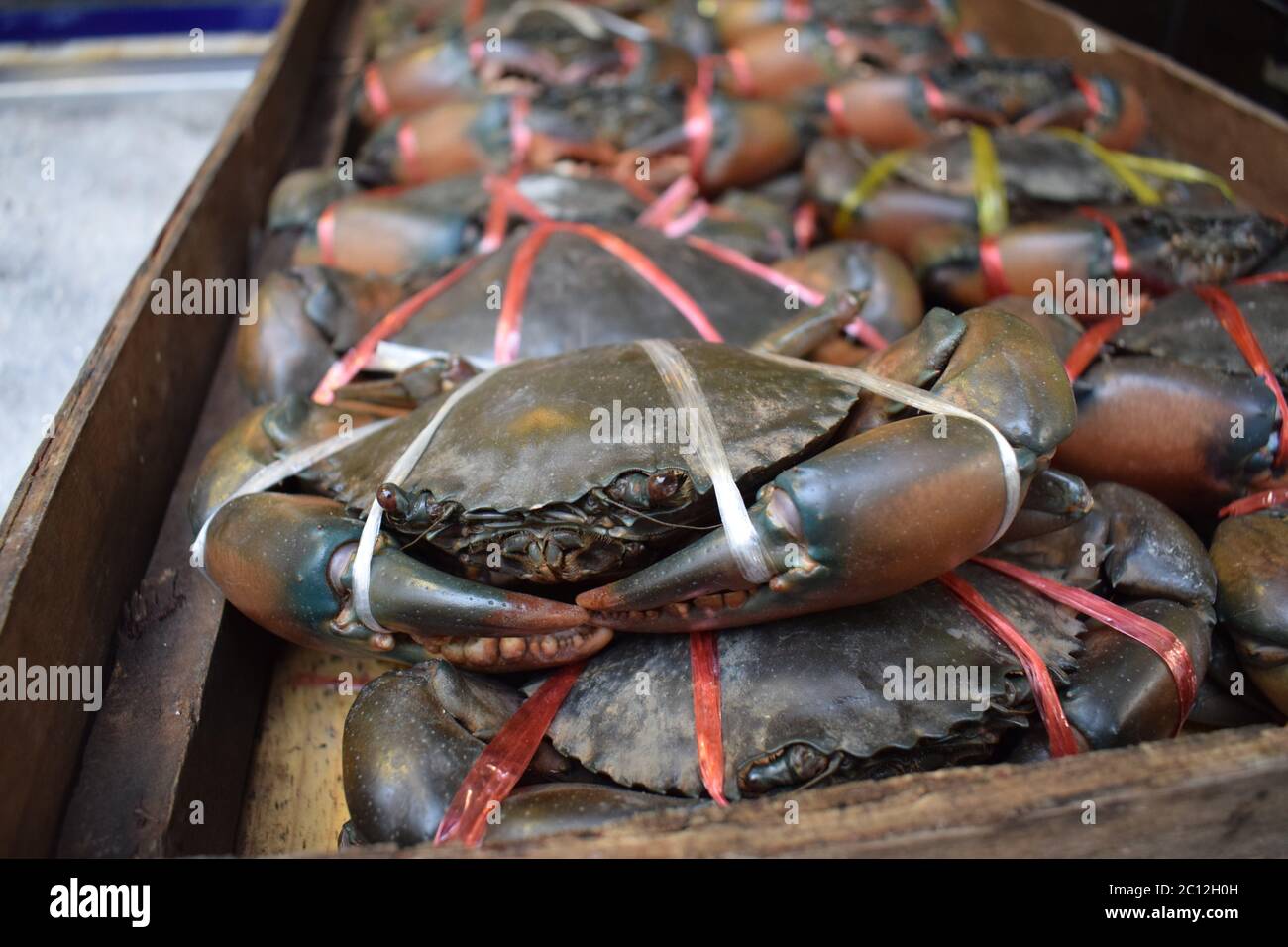 Tied sea crabs sold to restaurants to be cooked on a street market in Thailand Stock Photo