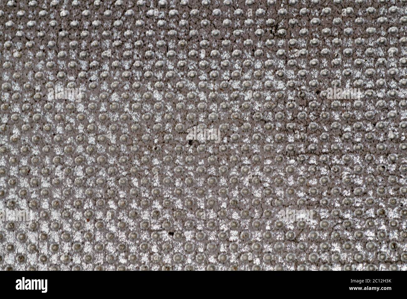 light natural linen texture for the background Stock Photo