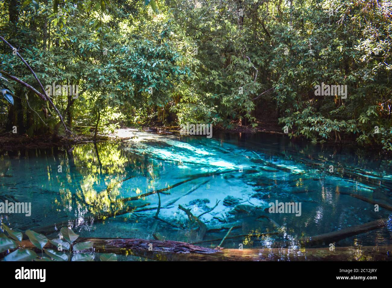 Beautiful cyan water of the Emerald pond in the middle of the wild jungle in Krabi Thailand Stock Photo