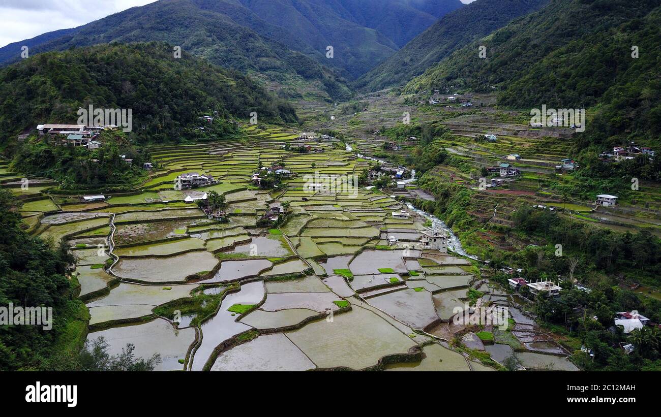 Aerial view on rice terraces full of water with some crops and little village settlement on the slopes. Terraces from above create abstract forms, sha Stock Photo
