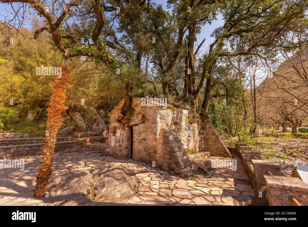 Agia Theodora of Vasta miracle church in Peloponnese, Greece. Trees growing on the roof without