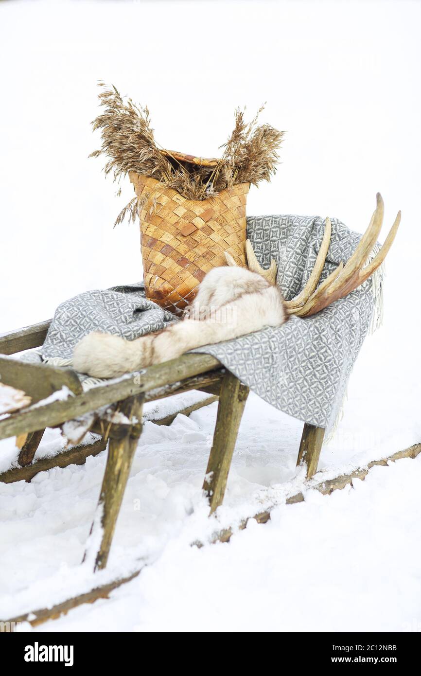 Old dog sled in tundra Stock Photo