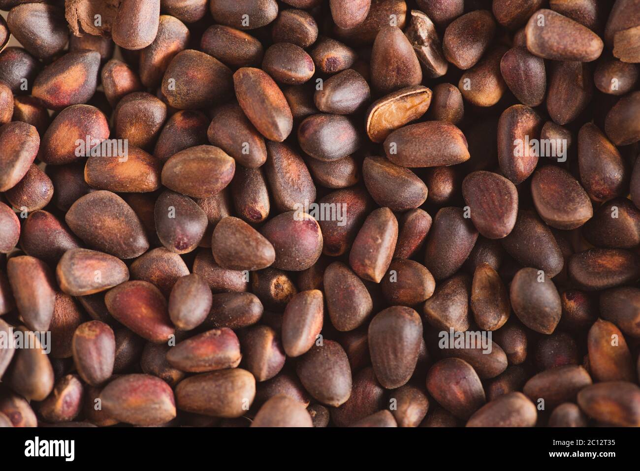 Pine nuts in shells of ciberian cedar as a background. Macro Stock