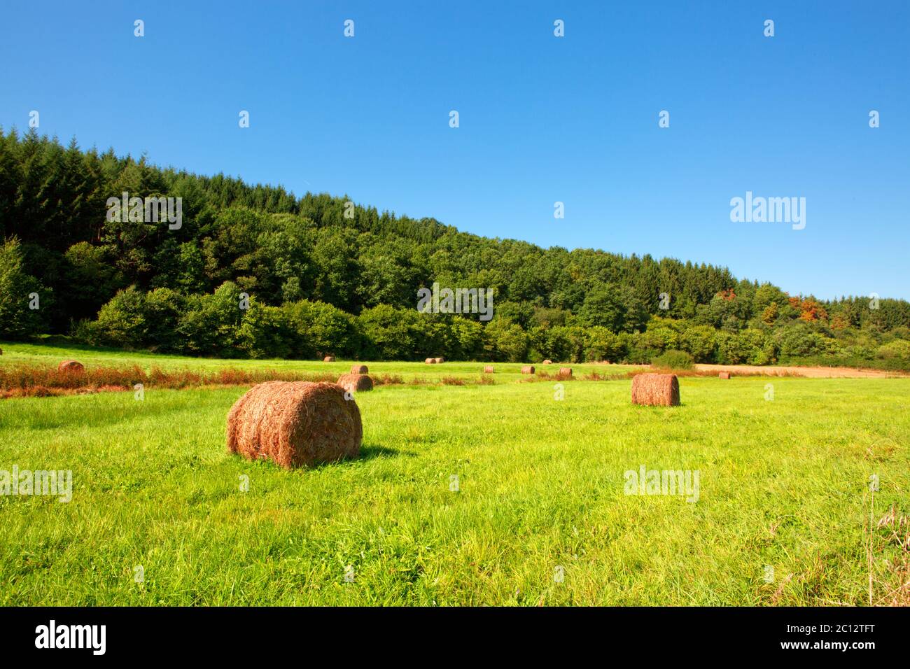 Agricultural field with straw bales after harvest Stock Photo - Alamy