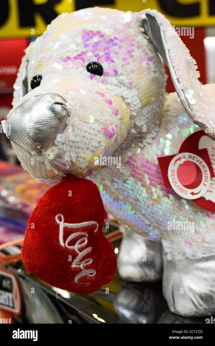 graduation teddy bear kmart