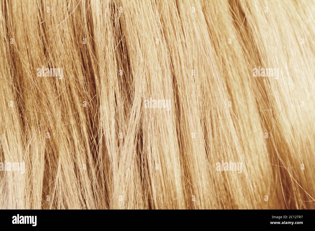 Blonde hair. Blond hair texture - closeup photo Stock Photo
