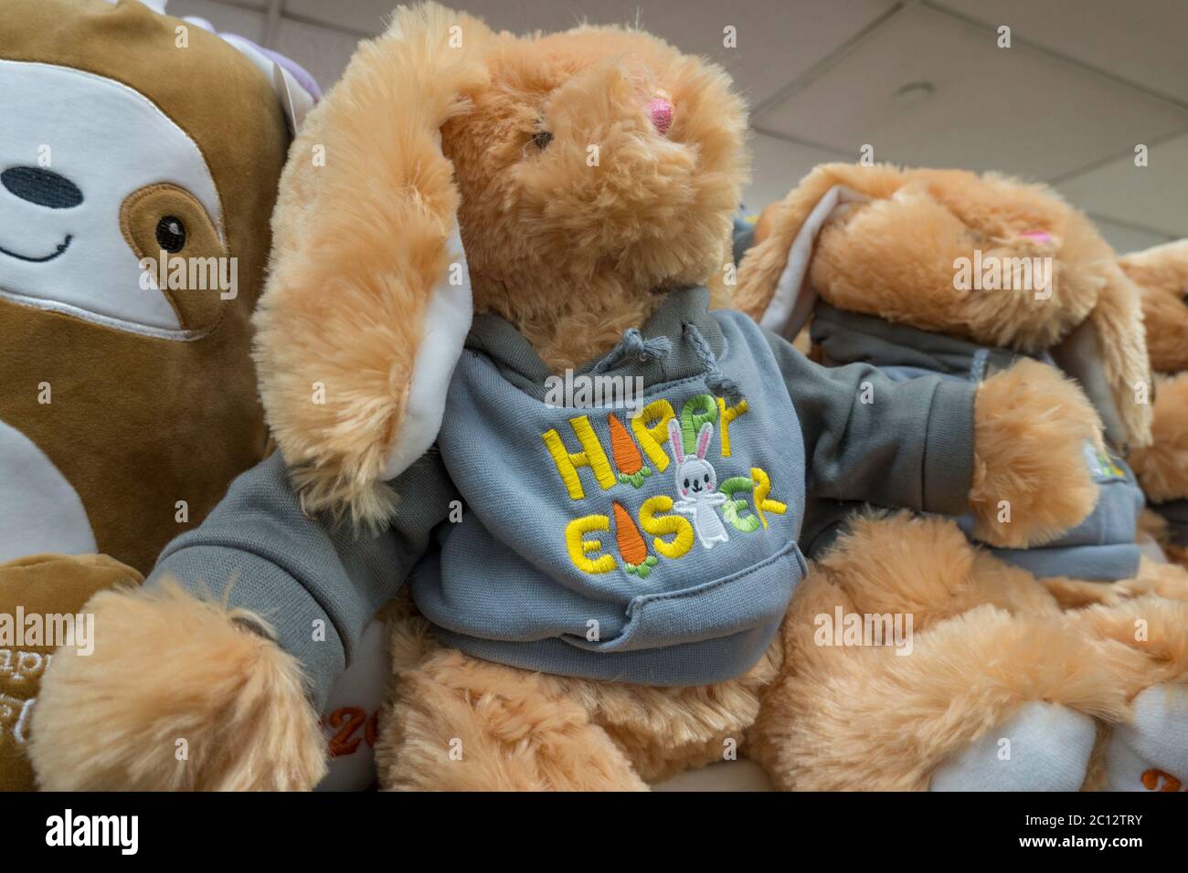 graduation teddy bear kmart