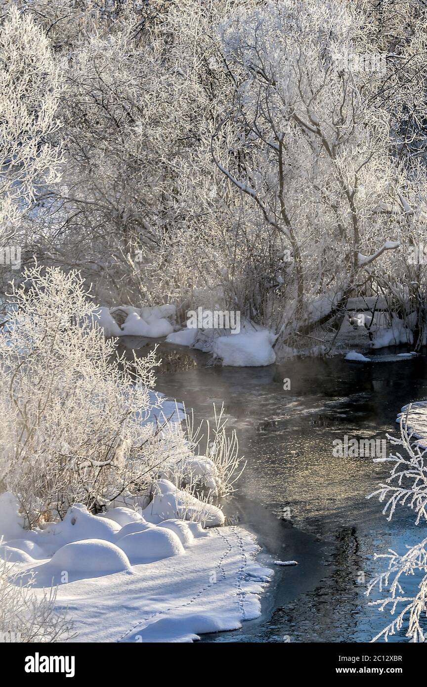 Winter sunny landscape with river and forest Stock Photo - Alamy