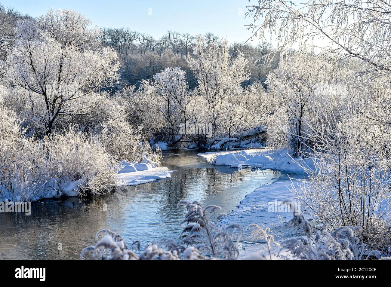 Winter sunny landscape with river and forest Stock Photo - Alamy
